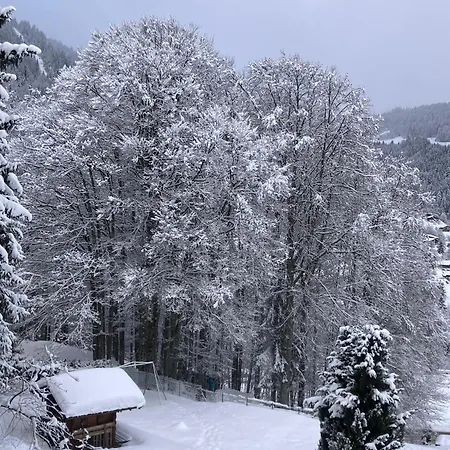 T4 Dans Un Pres Des Pistes アパート